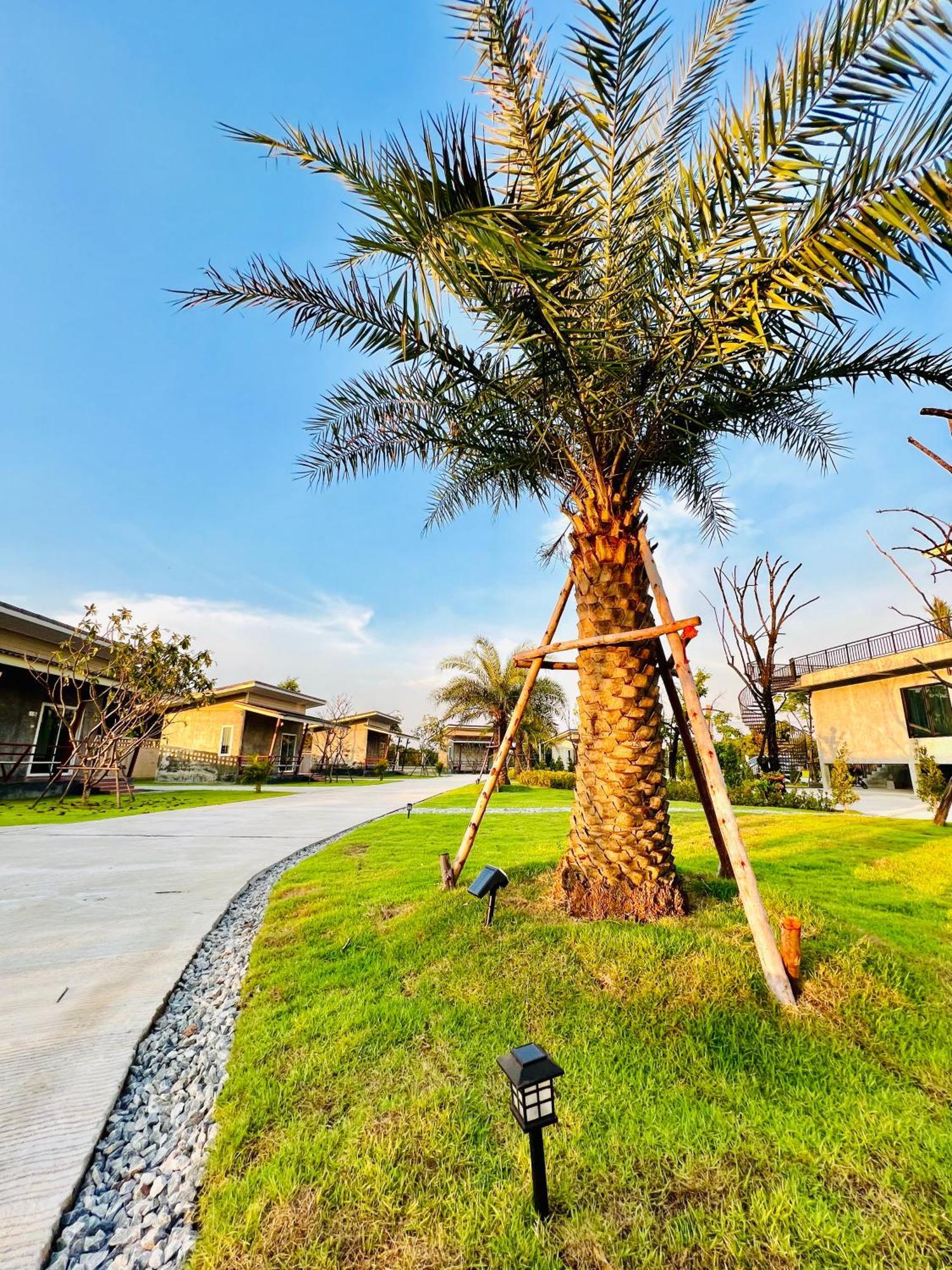 Farm View Resort @Uthai Thani ฟาร์มวิว รีสอร์ท อุทัยธานี Nong Khayang Exteriér fotografie